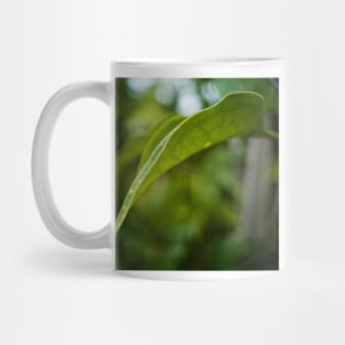 Leaf Mug